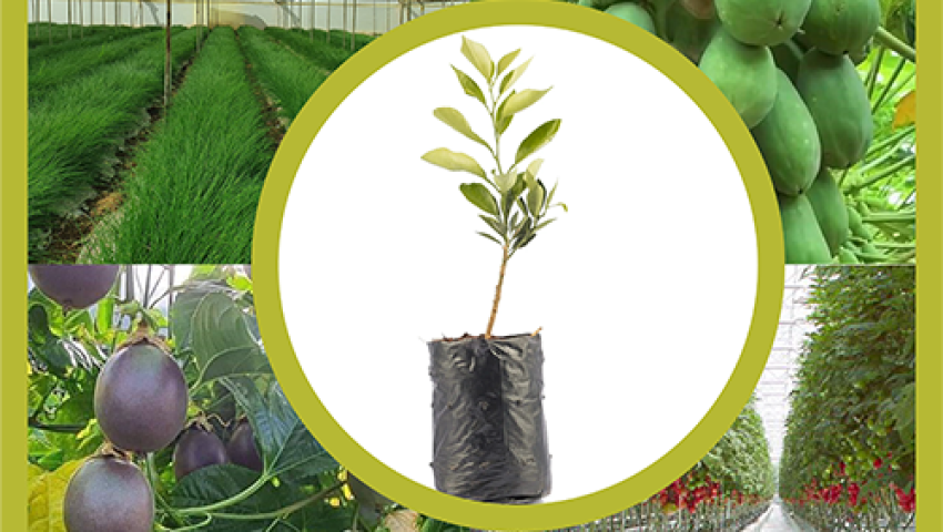 Strategic Partnerships & Joint Ventures